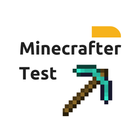 Тест на Майнкрафтера icon