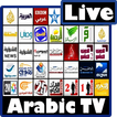 TV Arab: Direct et Replay