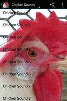 Chicken Sounds Affiche