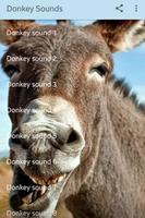 Donkey Sounds capture d'écran 1