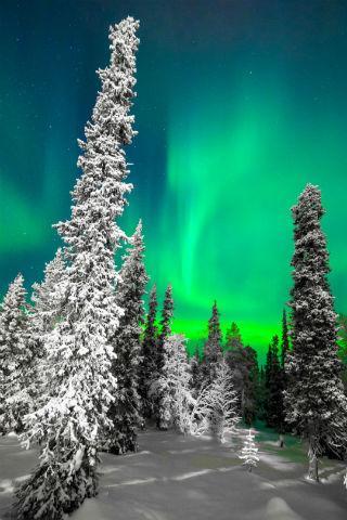 Descarga de APK de Fondos Pantalla Aurora Boreal para Android Descarga de APK de Fondos Pantalla Aurora Boreal para Android