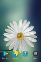 Daisy Wallpapers screenshot 2