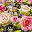 Floral Wallpapers
