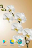 Orchid Wallpapers 截图 2