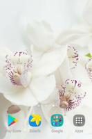 Orchid Wallpapers 截图 3