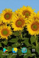 Sunflower wallpapers screenshot 2