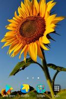 Sunflower wallpapers screenshot 3