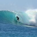 Surf Wallpapers APK