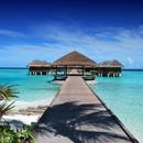 Tropical Beach Wallpapers APK