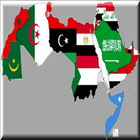 Drapeaux des pays arabes icône