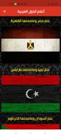 Drapeaux des pays arabes Affiche