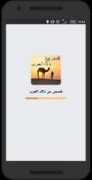 قصص عن ذكاء العرب ポスター