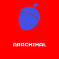 Arachihal