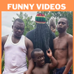 Funny Videos