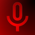 Background Audio Recorder Pro