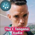 14a C Tangana Audio