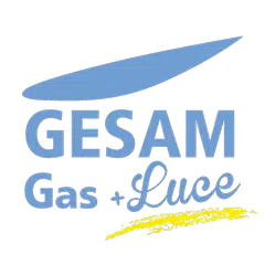 GESAM Gas e Luce APK 1.0.3 for Android – Download GESAM Gas e Luce APK  Latest Version from APKFab.com