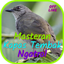 Masteran Kapas Tembak Ngatrol  APK