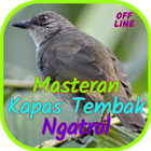 Masteran Kapas Tembak Ngatrol icon