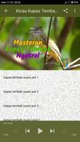 Masteran Kapas Tembak Ngatrol screenshot 3