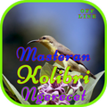 Masteran Kolibri Ngerecet OFFL