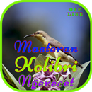Masteran Kolibri Ngerecet OFFL aplikacja