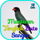 Masteran Tengkek Buto Sangar O APK