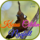 Kicau Cililin Ngefull OFFLINE APK