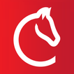 Postos Cavalinho آئیکن