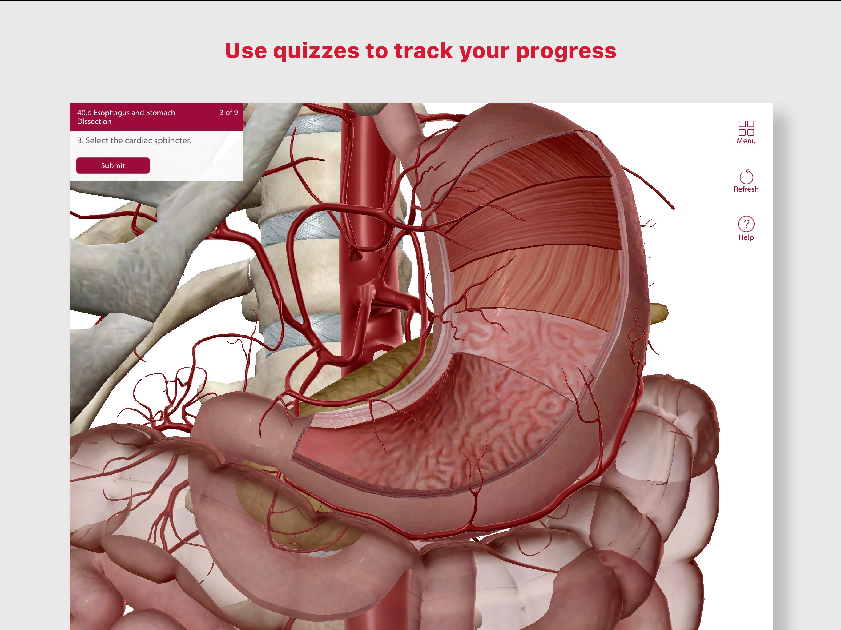 Anatomy & Physiology for Android - APK Download
