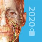 2020 Atlas Perpetual أيقونة