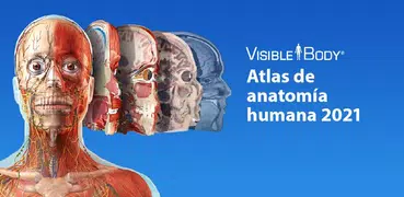 2021 Atlas Perpetual