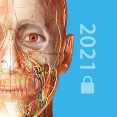 2021 Atlas Perpetual XAPK download