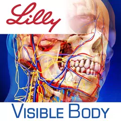 Скачать Human Anatomy Atlas for Lilly XAPK