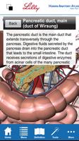 Human Anatomy Atlas for Lilly تصوير الشاشة 3