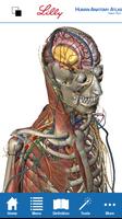 Human Anatomy Atlas for Lilly bài đăng