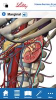Human Anatomy Atlas for Lilly تصوير الشاشة 2