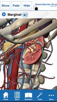 Human Anatomy Atlas - Springer captura de pantalla 2