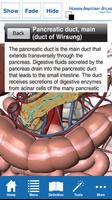 Human Anatomy Atlas - Springer captura de pantalla 3