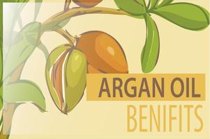 Argan Oil Benefits ポスター