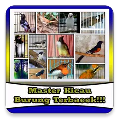 Kumpulan Suara Burung Terbagus APK download