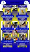 برنامه‌نما Kumpulan Suara Burung Terbagus عکس از صفحه