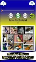 برنامه‌نما Kumpulan Suara Burung Terbagus عکس از صفحه