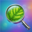 Magnifier & Magnifying Glass APK