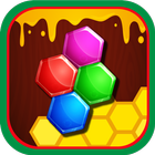 Brain Training - Hexa Puzzle icon