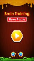 Brain Training - Hexa Puzzle poster