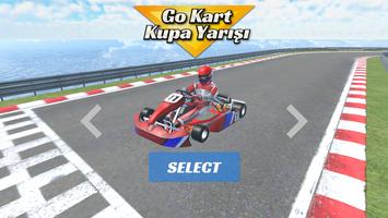 Go Kart Kupa Yarışı 3D Ekran Görüntüsü 1