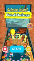 Pinball Challenge постер