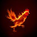 Chicken App: File Sharing APK