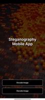 پوستر Steganography